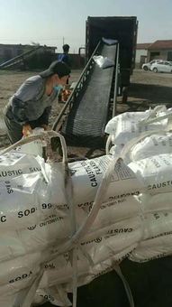 新疆環(huán)保宣城片堿生產(chǎn)廠家——優(yōu)質(zhì)現(xiàn)貨供應(yīng)